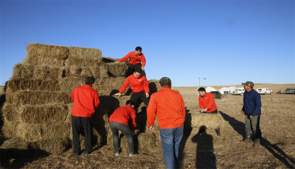bevictor伟德官网·(中国)唯一官方网站