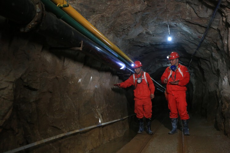 bevictor伟德官网·(中国)唯一官方网站