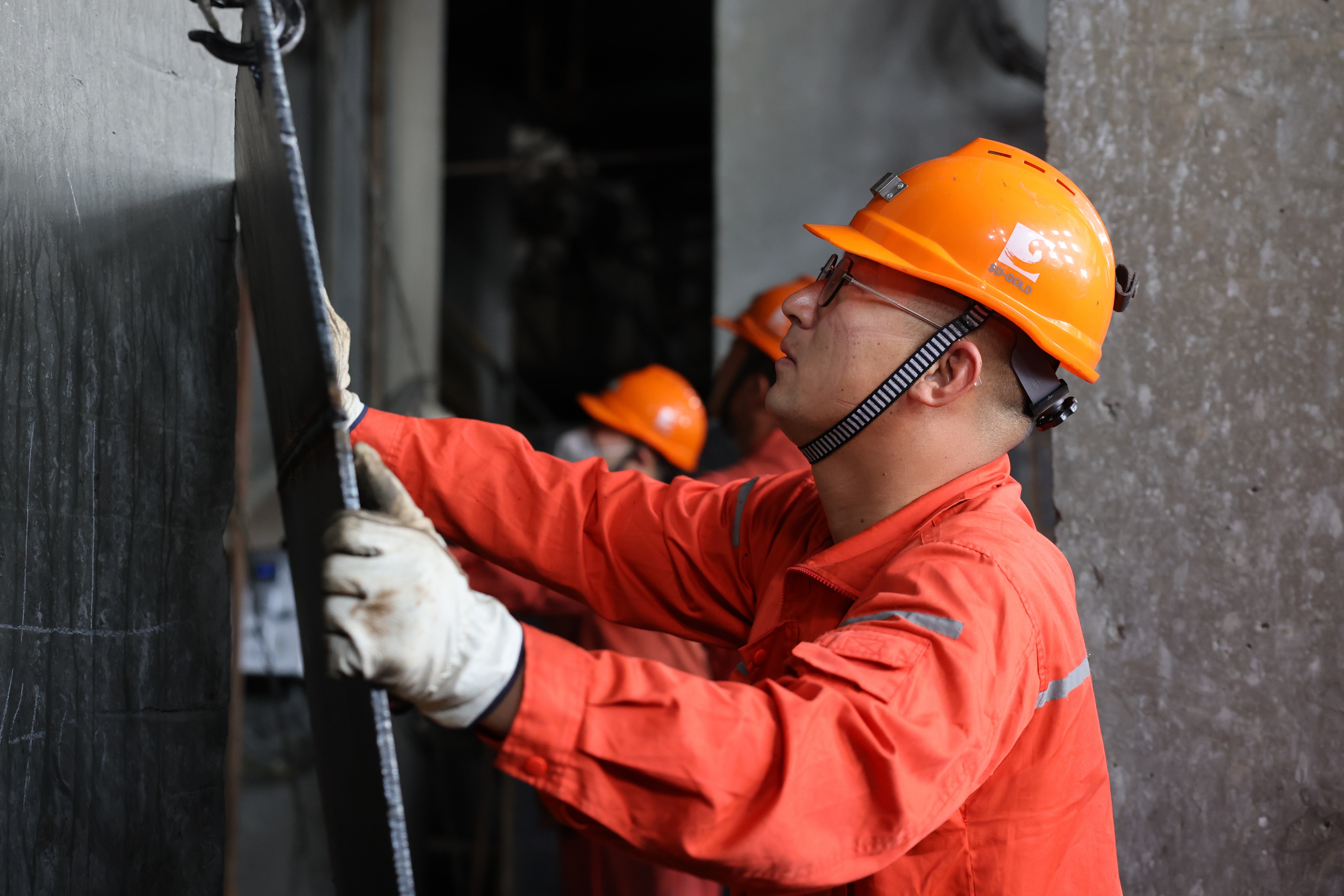 bevictor伟德官网·(中国)唯一官方网站