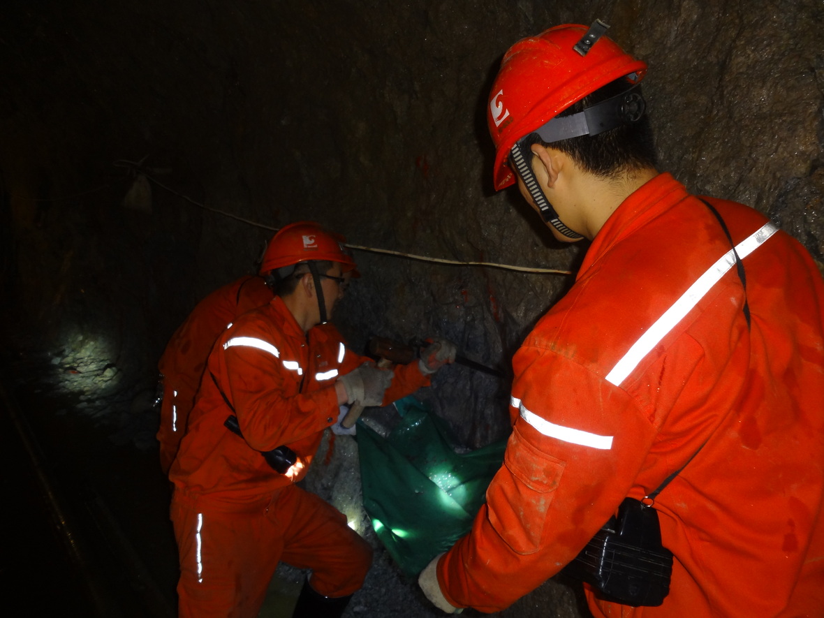 bevictor伟德官网·(中国)唯一官方网站