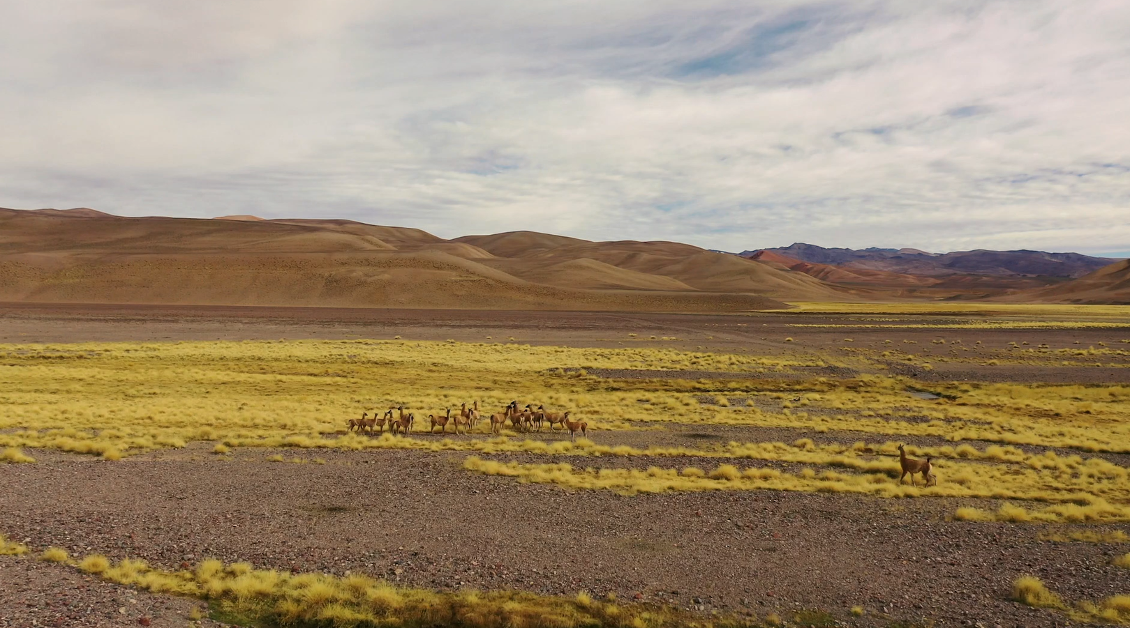 bevictor伟德官网·(中国)唯一官方网站