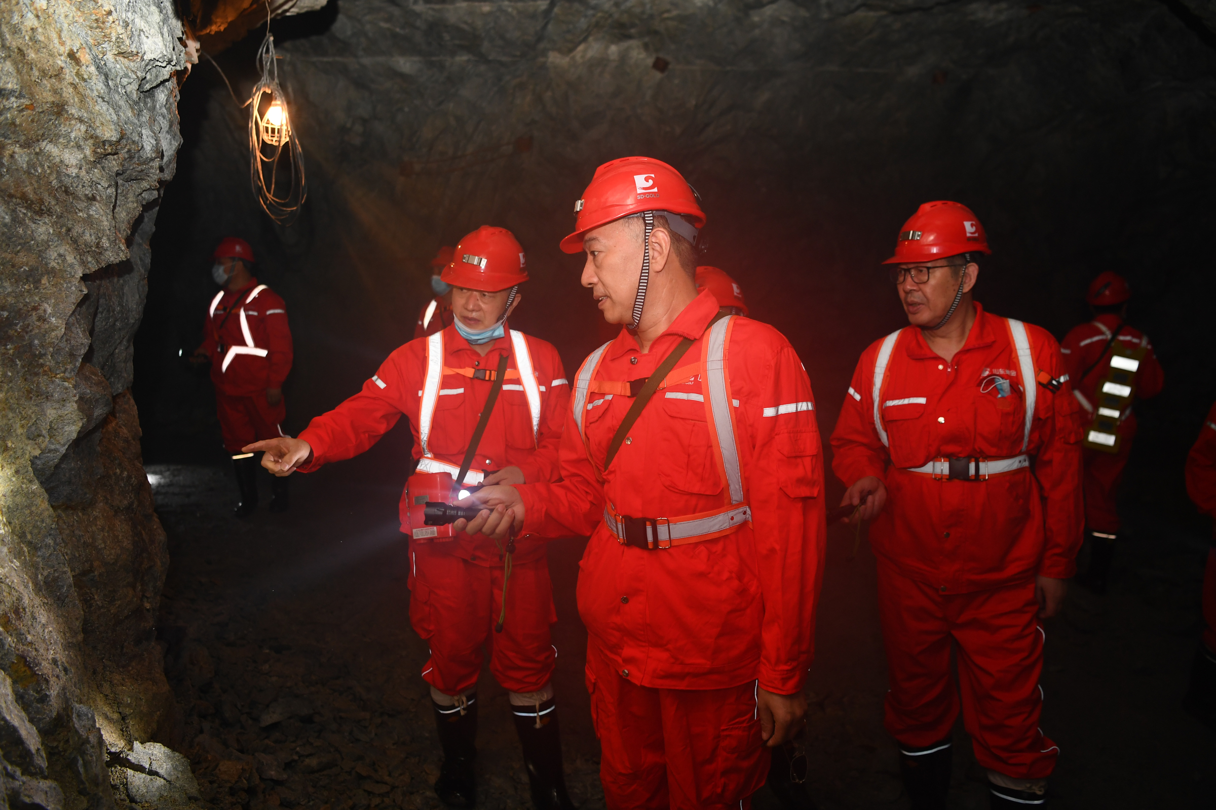 bevictor伟德官网·(中国)唯一官方网站