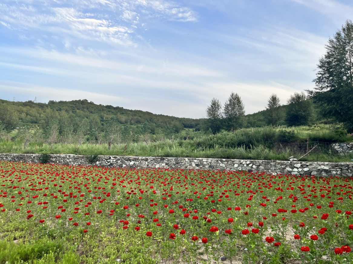 bevictor伟德官网·(中国)唯一官方网站