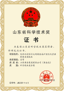 山东省科学手艺奖