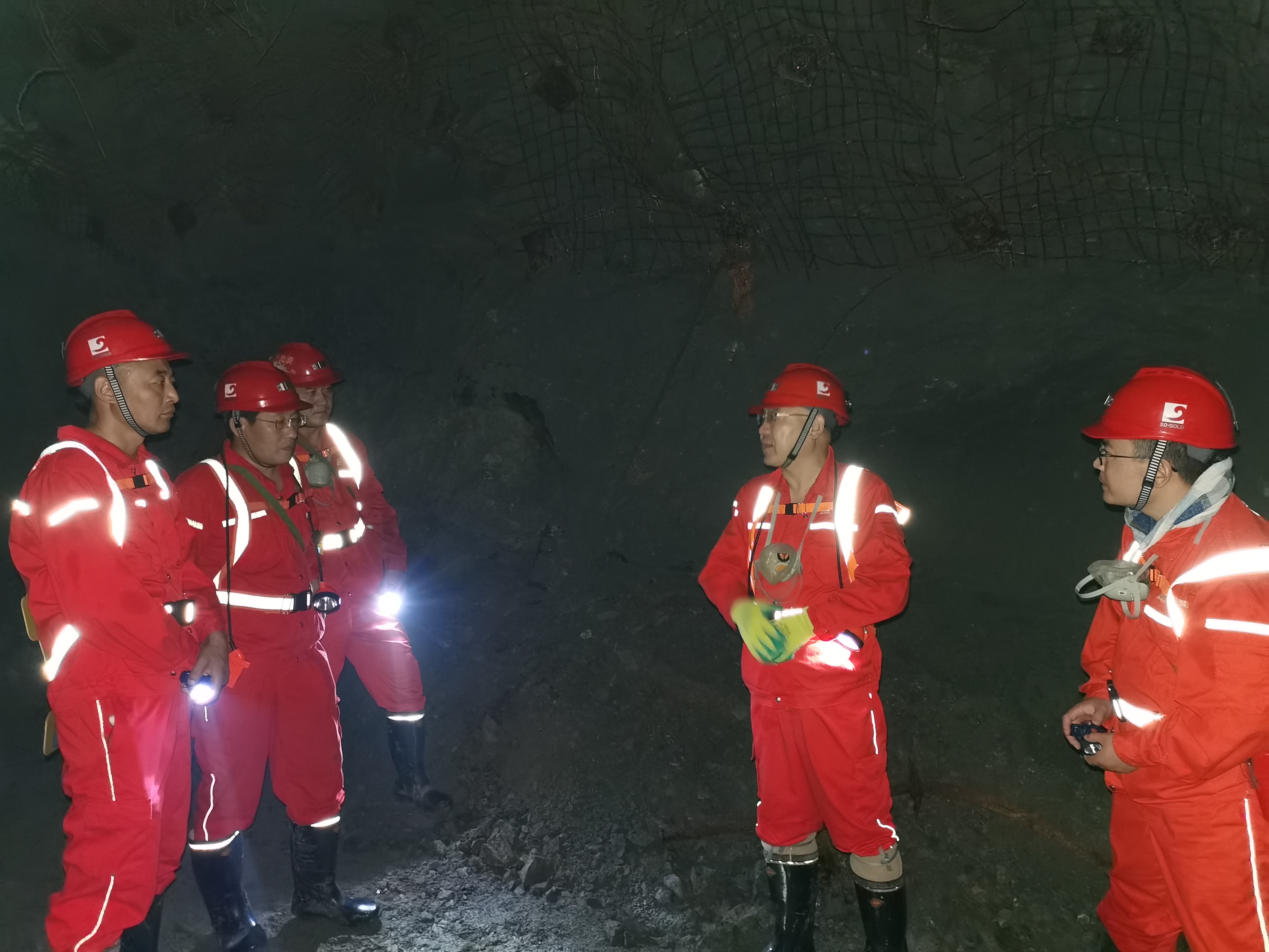 bevictor伟德官网·(中国)唯一官方网站